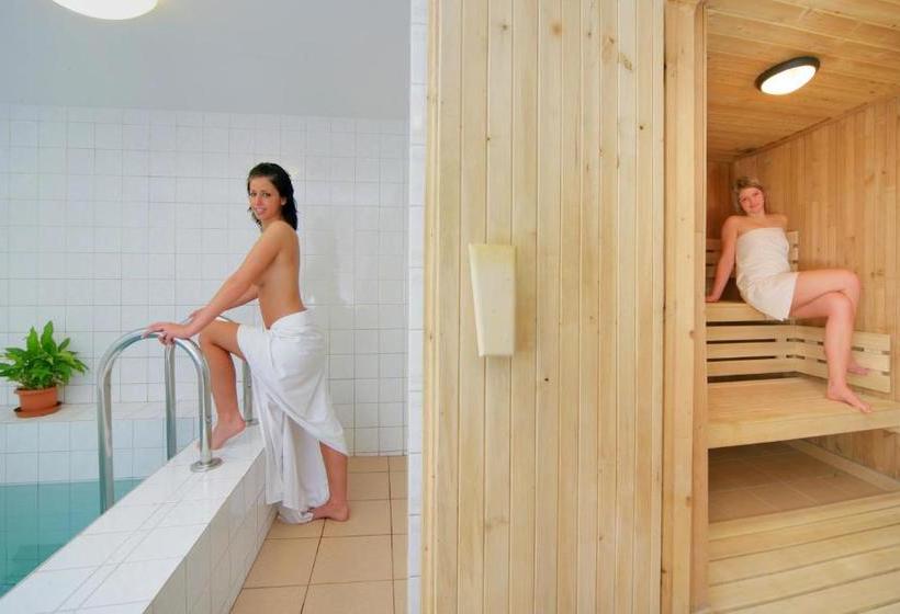 Отель Stary Mlyn