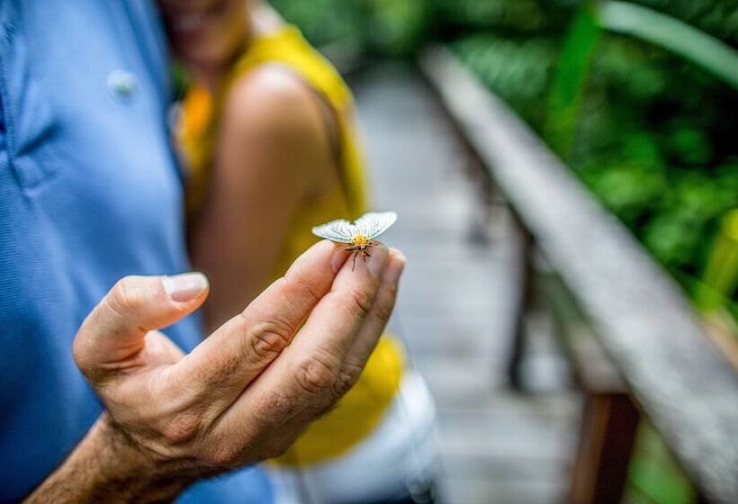 Отель The Datai Langkawi