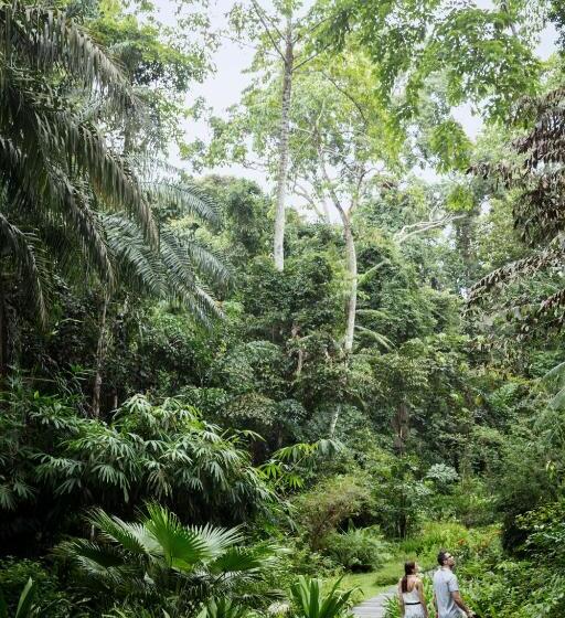 Отель The Datai Langkawi
