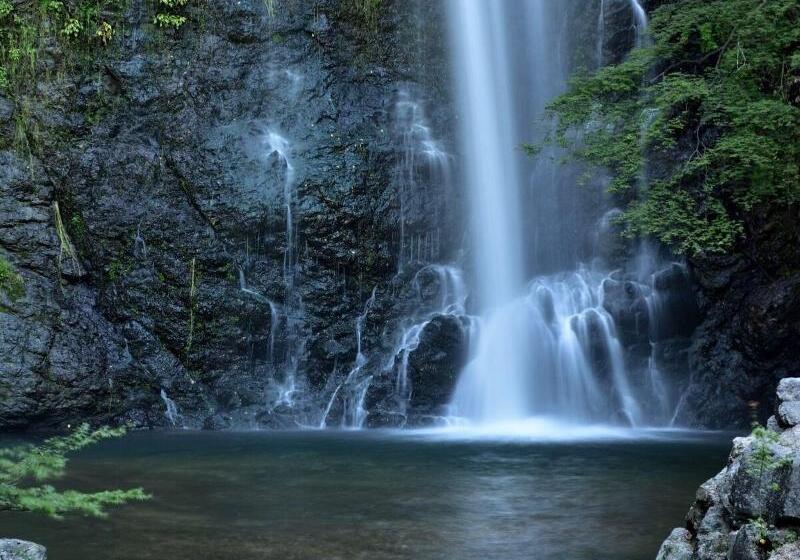 Отель The Westin Osaka