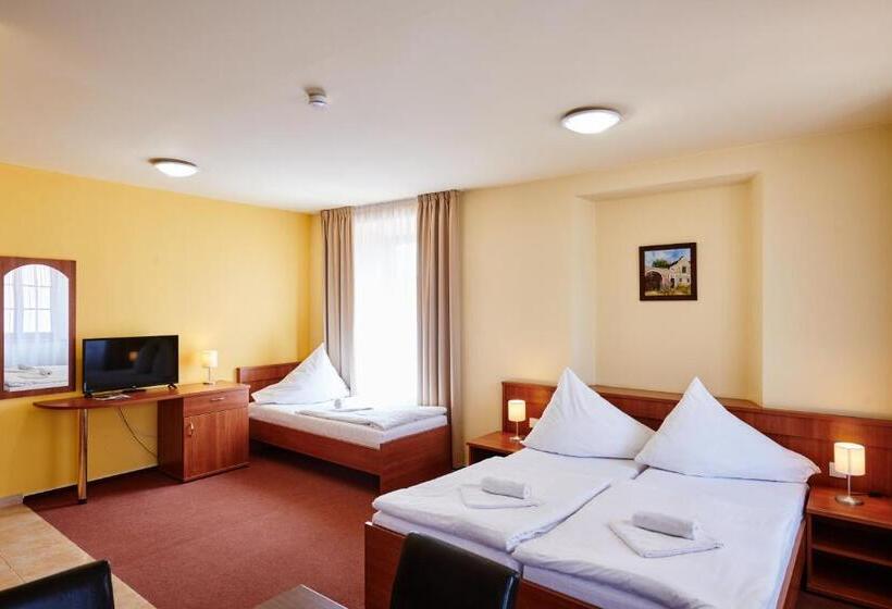 ホテル Zlatá Hvězda