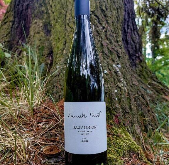 酒店 Zámek Třešť