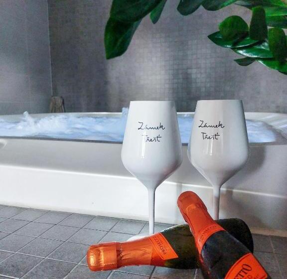 酒店 Zámek Třešť