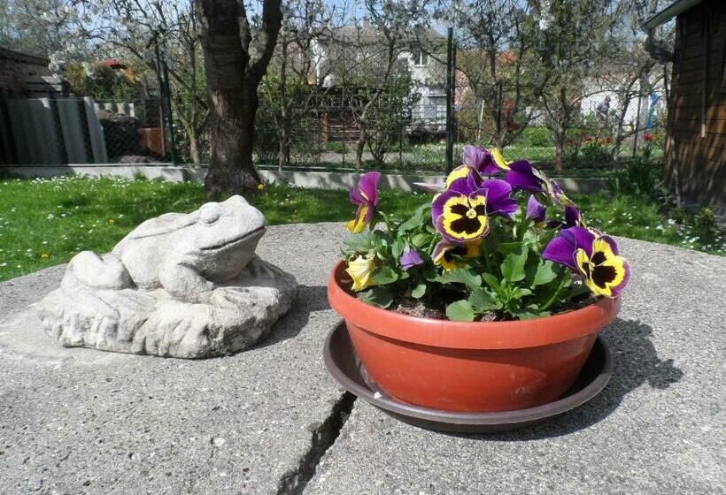 膳宿费 Penzion Kapitan