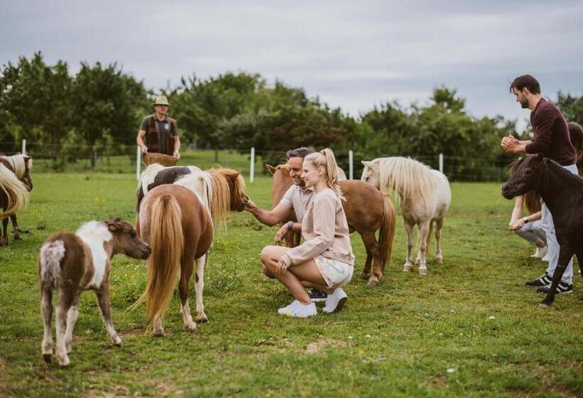 Adults Only Hotel Reiters Supreme