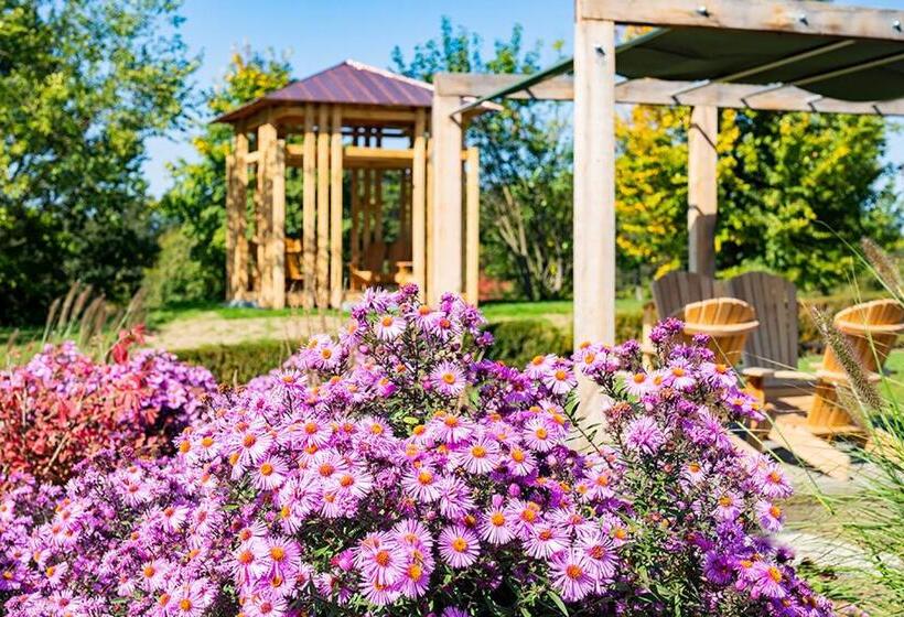 Adults Only Hotel Reiters Supreme