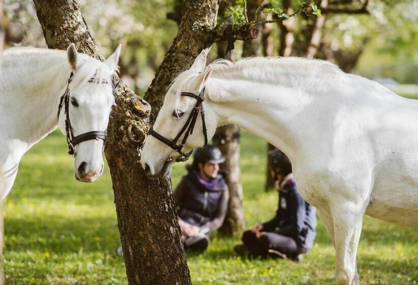 Adults Only Hotel Reiters Supreme