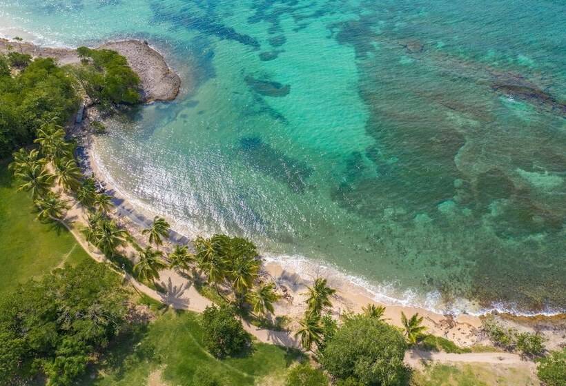 渡假胜地  Karibea Sainte Luce