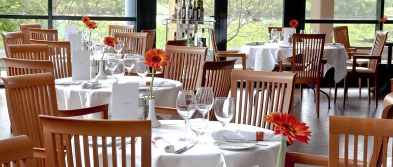 Trans World Hotel Donauwelle