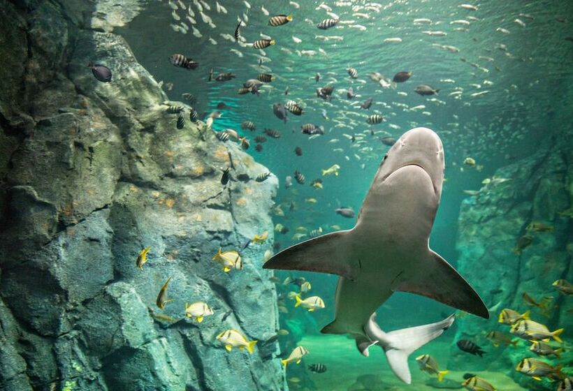 Crowne Plaza Hotel St. Louis Airport, An Ihg