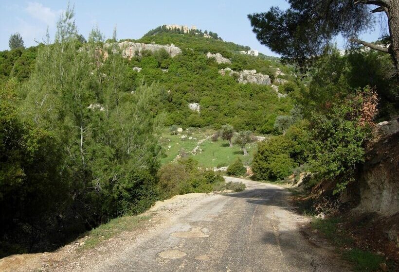 هتل Ajloun