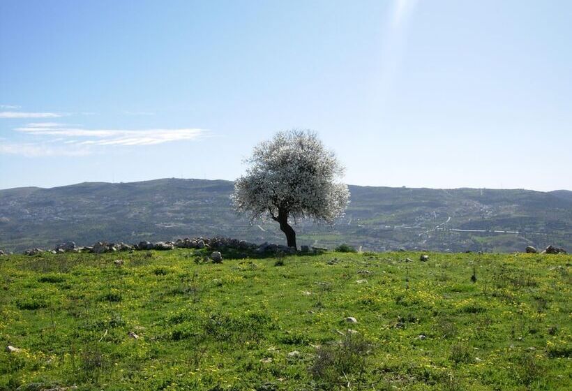 هتل Ajloun