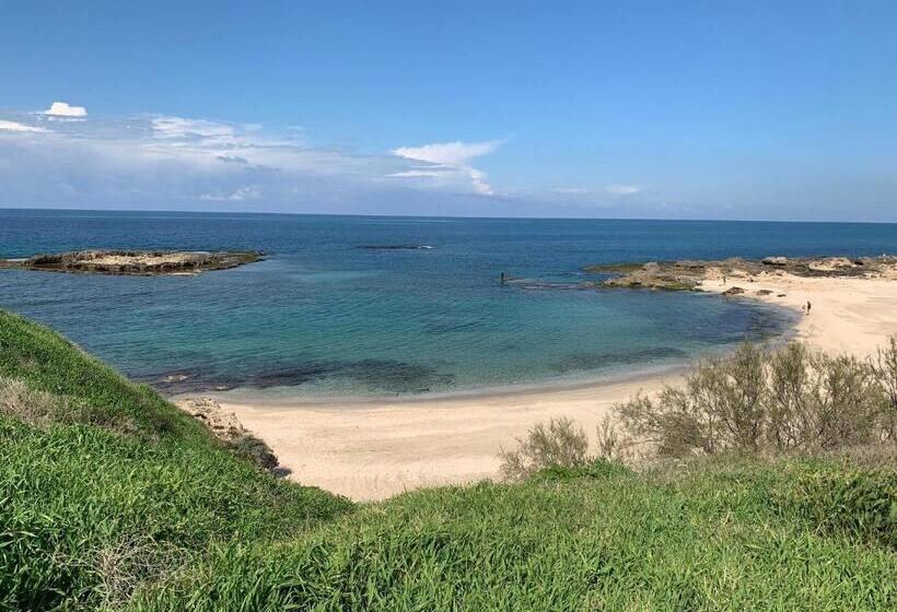 בית מלון כפרי Beit Maimon