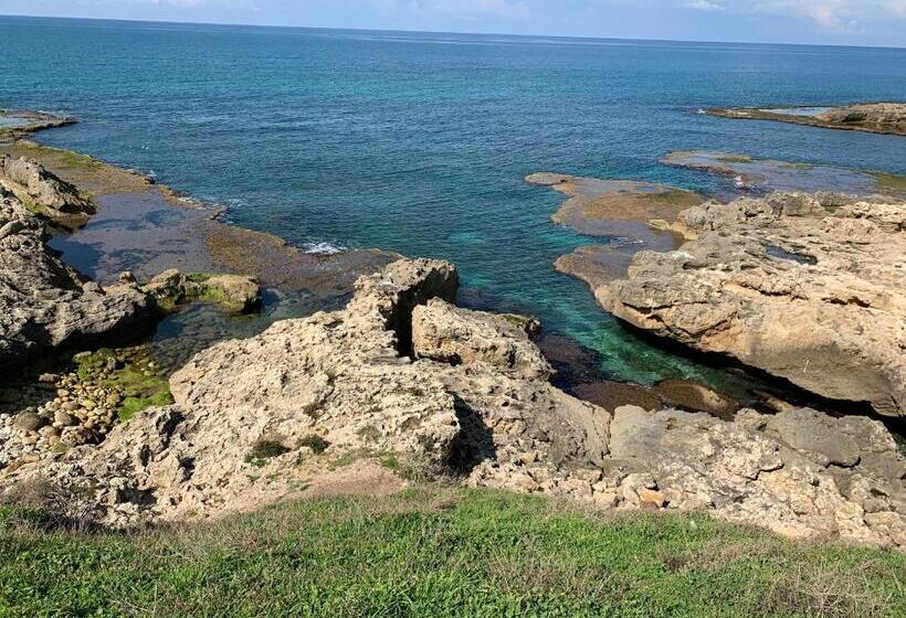 בית מלון כפרי Beit Maimon