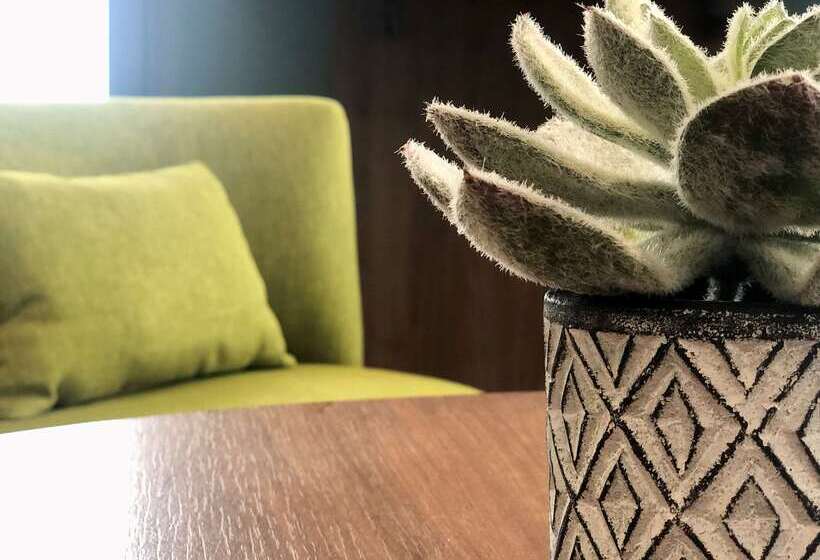 酒店 Campanile Lyon Centre Part Dieu