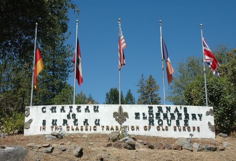 酒店 Château Du Sureau