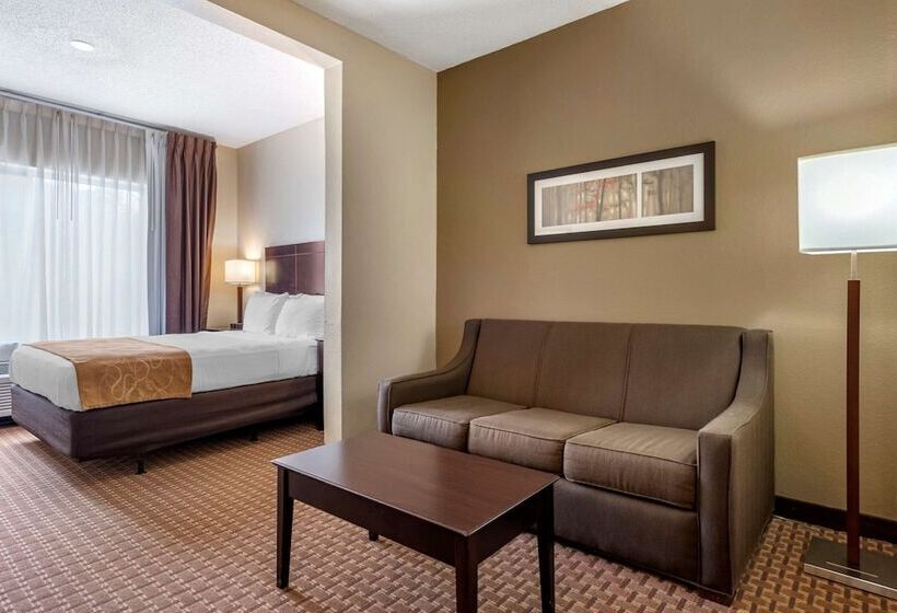 בית מלון כפרי Comfort Suites