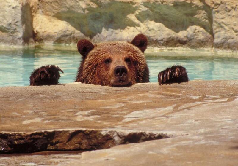 ホテル Doubletree By Hilton San Antonio Downtown