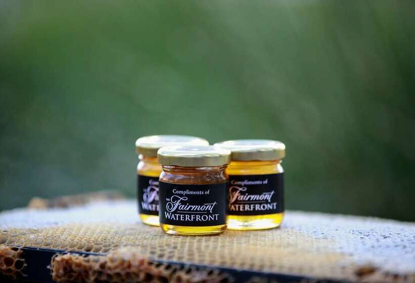 فندق Fairmont Waterfront