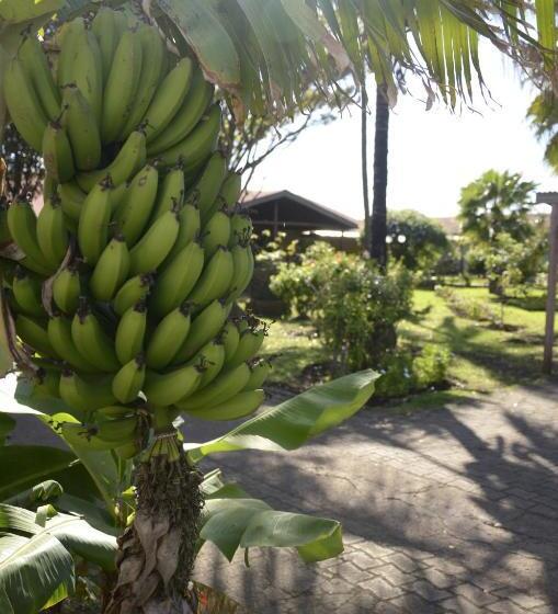 בית מלון כפרי Manutara