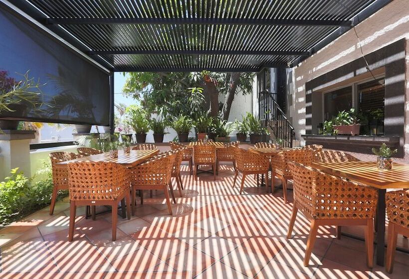 酒店 Posada Terranova