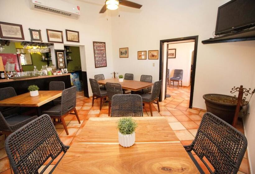 酒店 Posada Terranova