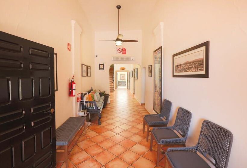 酒店 Posada Terranova