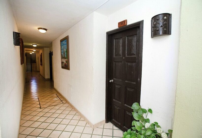 酒店 Posada Terranova