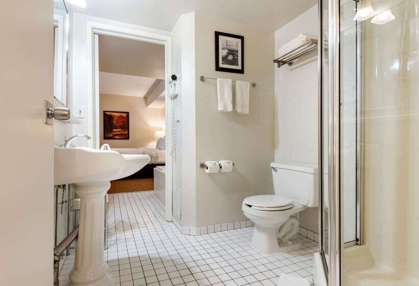 Отель Quality Inn