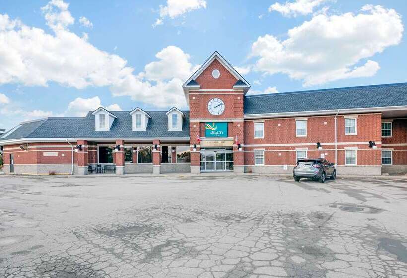 Отель Quality Inn