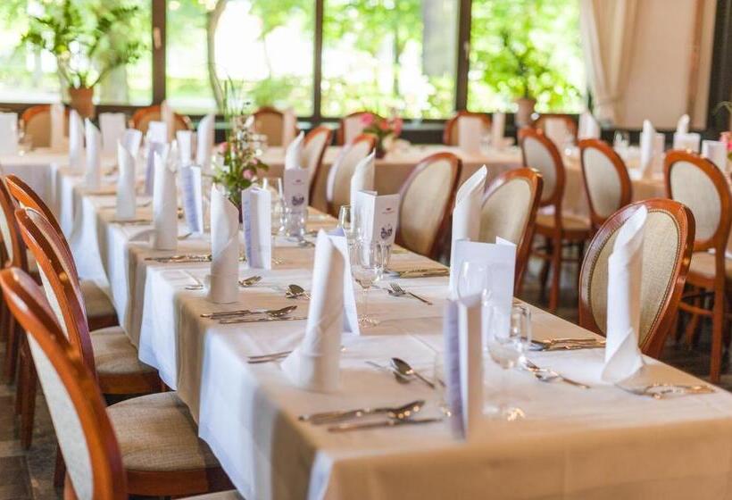 Radenci Spa Resort   Sava Hotels & Resorts