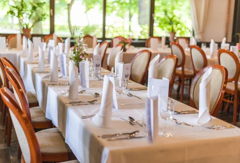 Radenci Spa Resort   Sava Hotels & Resorts