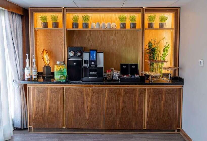 Sonesta Hotel Tower & Casino Cairo