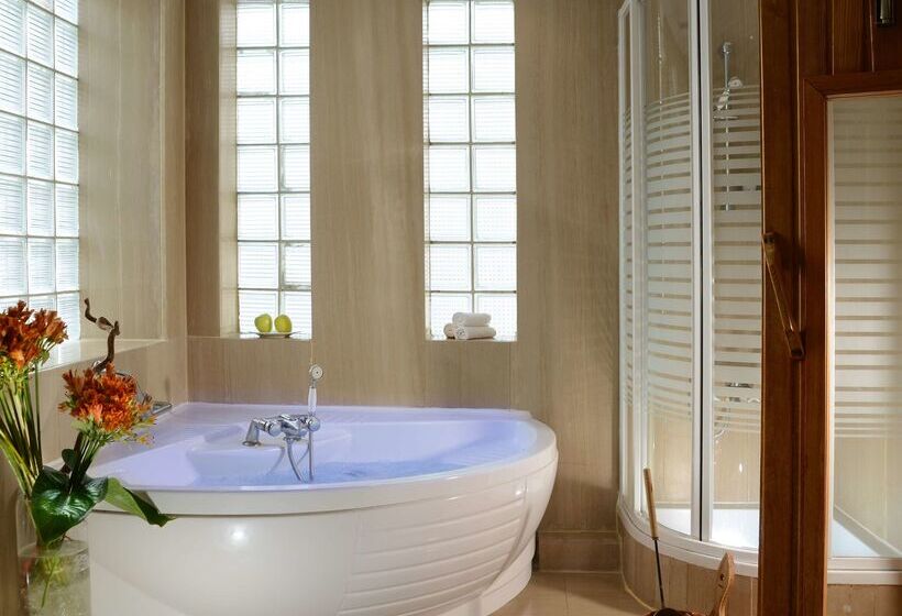 Sonesta Hotel Tower & Casino Cairo