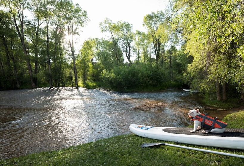 فندق St. Regis Aspen Resort