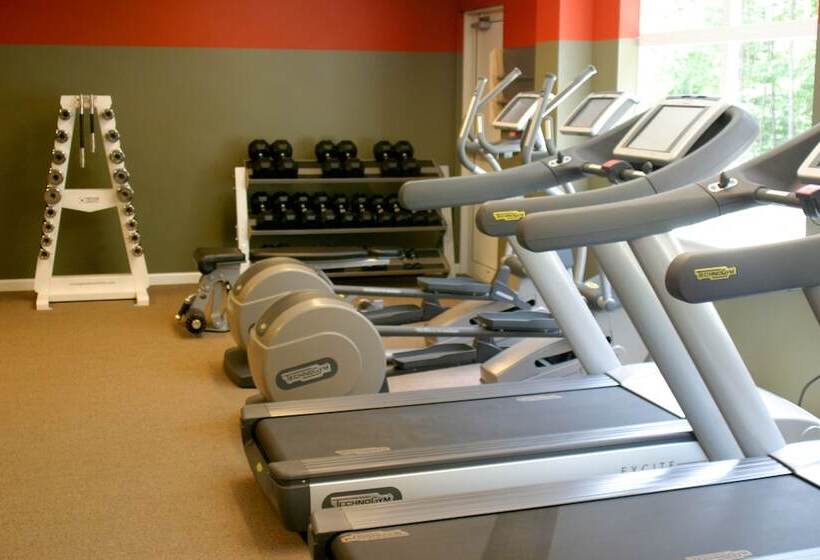 فندق The Essex Resort & Spa