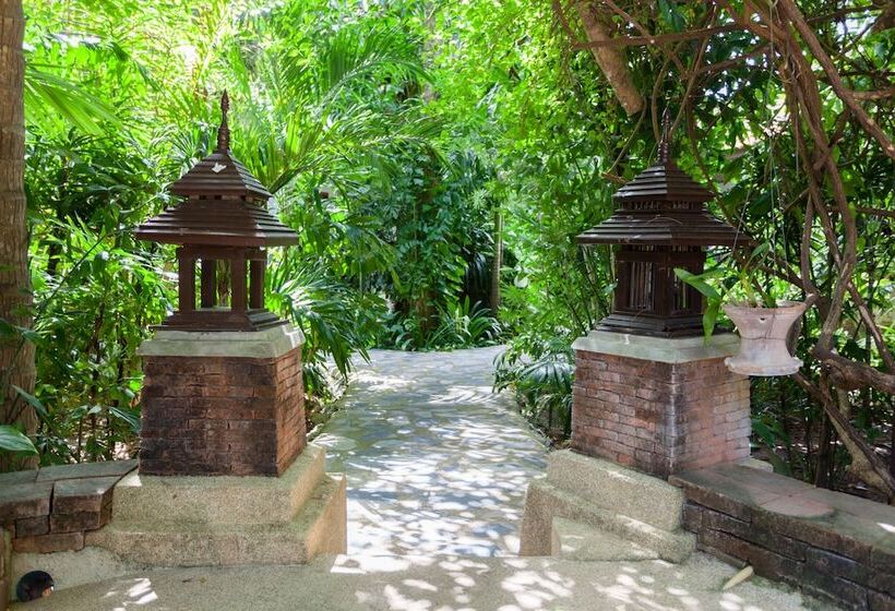 Отель Tropica Bungalow Beach