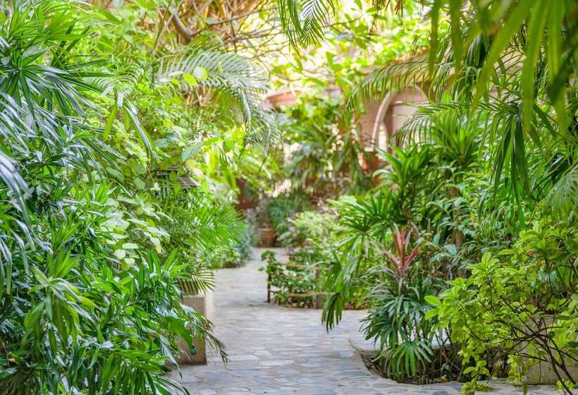 Отель Tropica Bungalow Beach