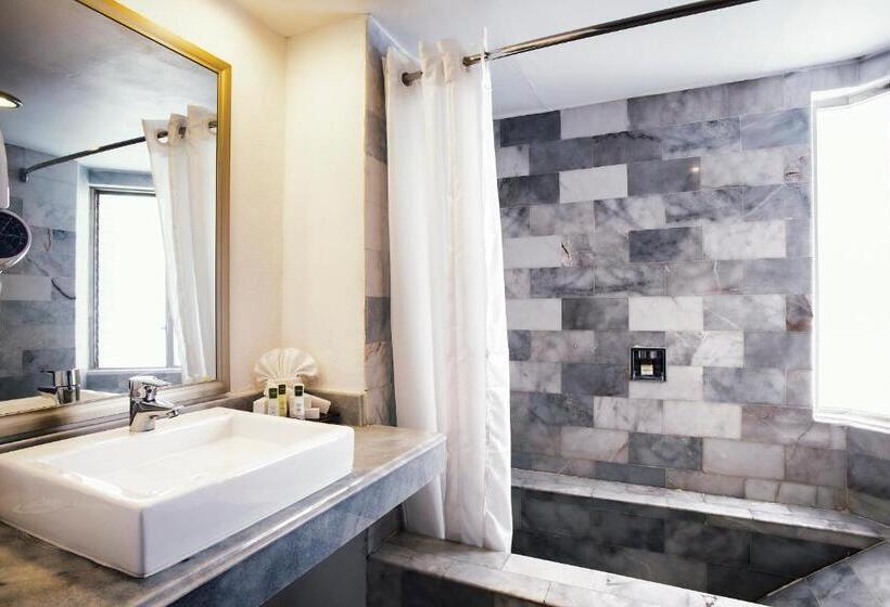 酒店 Vamar Vallarta Marina & Beach Resort