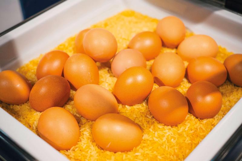 Отель Vienna House Easy By Wyndham Leipzig