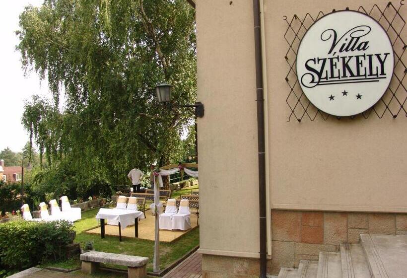 בית מלון כפרי Villa Székely