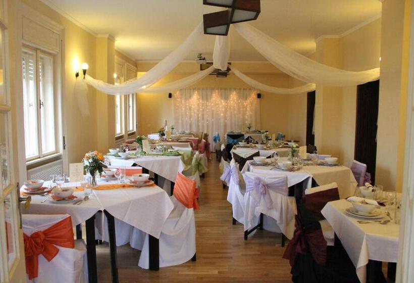 בית מלון כפרי Villa Székely