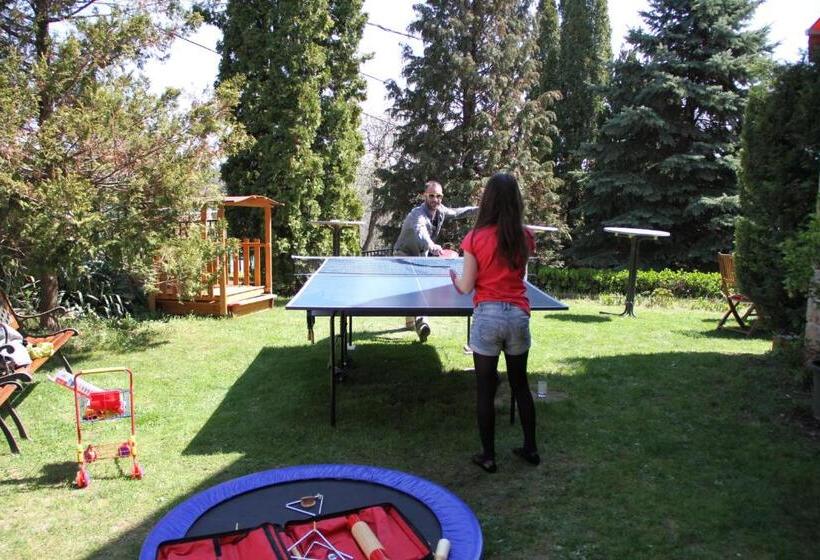 בית מלון כפרי Villa Székely