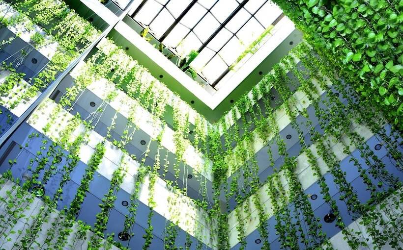 هتل Yotau All Suites