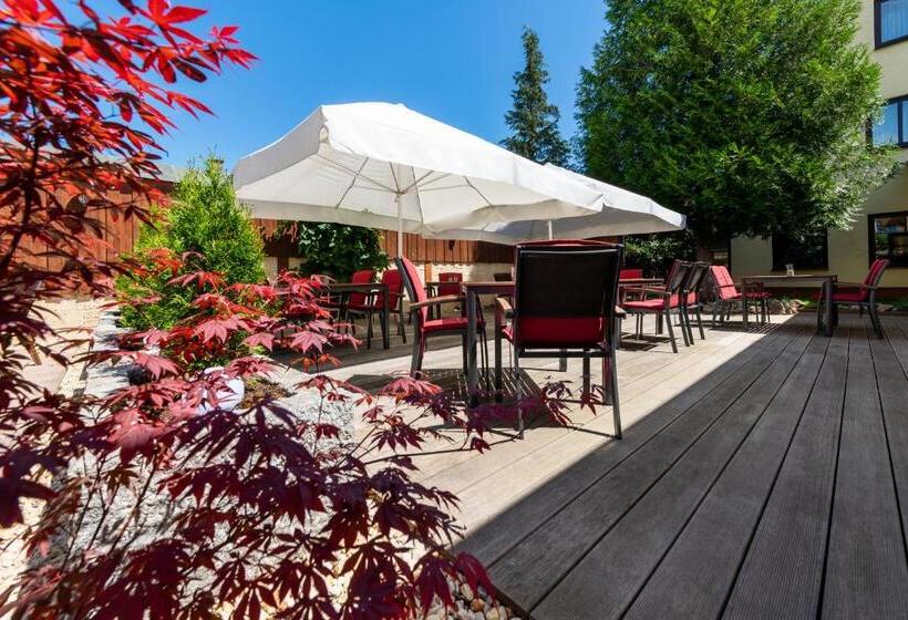 ホテル Zum Steinhof