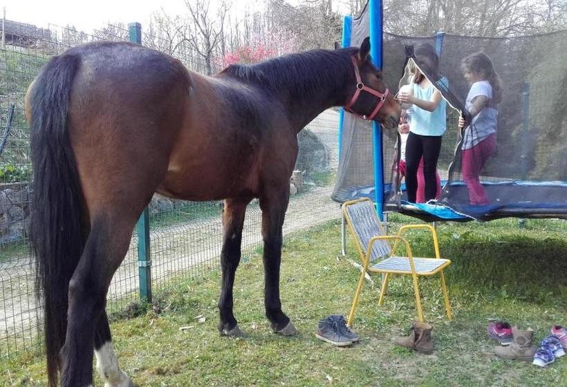 پانسیون Guesthouse Zorko Gostilna Domen