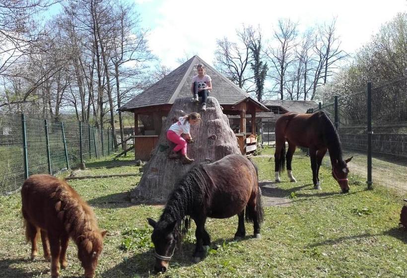 پانسیون Guesthouse Zorko Gostilna Domen