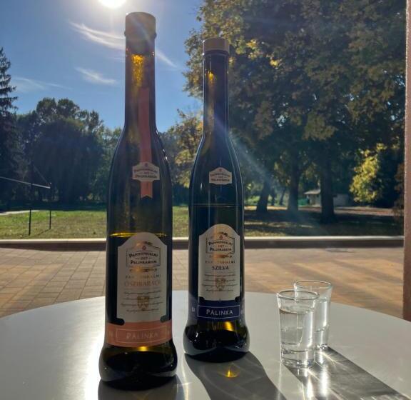 öreg Tó Hotel és Rendezvénytér