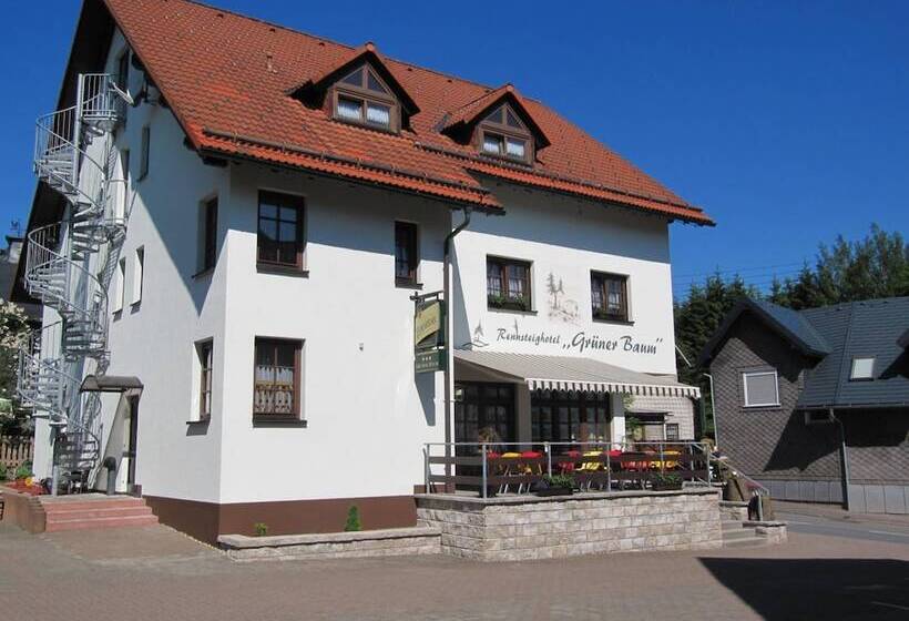 Rennsteighotel Grüner Baum