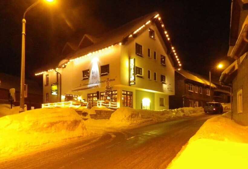 Rennsteighotel Grüner Baum